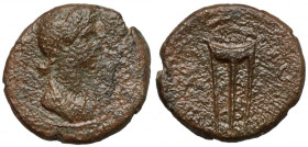 Julia Titi (79-90/1 n.e.) Ludia, Taityra, AE17 - rzadki