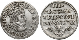 Zygmunt I Stary, Trojak Gdańsk 1536