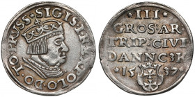 Zygmunt I Stary, Trojak Gdańsk 1537 - wczesny