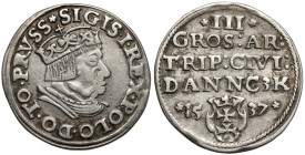 Zygmunt I Stary, Trojak Gdańsk 1537 - wczesny