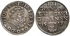 Zygmunt I Stary, Trojak Gdańsk 1539 - odmienny portret