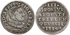 Zygmunt I Stary, Trojak Toruń 1534 - ozdobna zbroja - rzadki R4