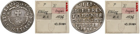 Zygmunt I Stary, Trojak Elbląg 1536 - ex. Kałkowski R3