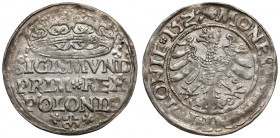 Zygmunt I Stary, Grosz Kraków 1527