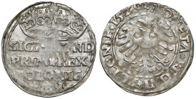 Zygmunt I Stary, Grosz Kraków 1529