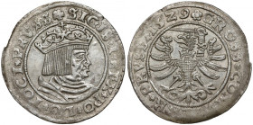 Zygmunt I Stary, Grosz Toruń 1529