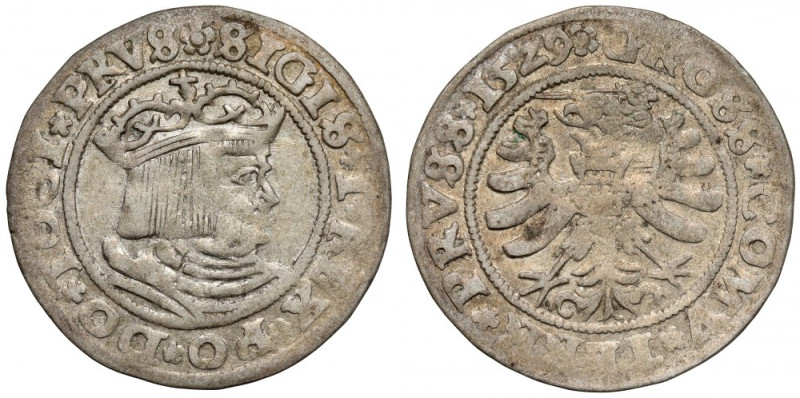 Zygmunt I Stary, Grosz Toruń 1529 - przebitka w dacie Dużo naturalnego połysku w...