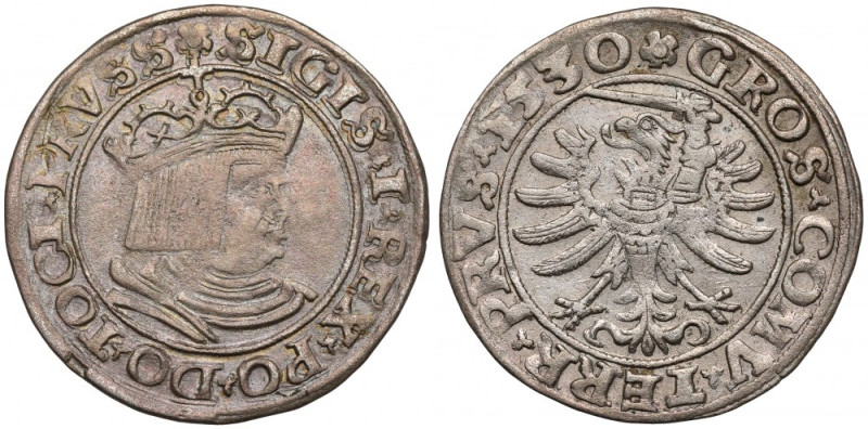 Zygmunt I Stary, Grosz Toruń 1530 Odmiana z legendami zakończonymi PRVSS / PRVS....