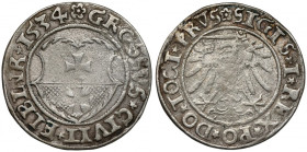 Zygmunt I Stary, Grosz Elbląg 1534