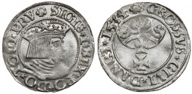 Zygmunt I Stary, Grosz Gdańsk 1534