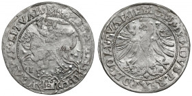 Zygmunt I Stary, Grosz Wilno 1535 - wczesny