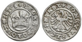 Zygmunt I Stary, Półgrosz Kraków 1508