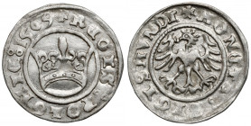 Zygmunt I Stary, Półgrosz Kraków 1509