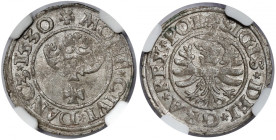 Zygmunt I Stary, Szeląg Gdańsk 1530 - piękny