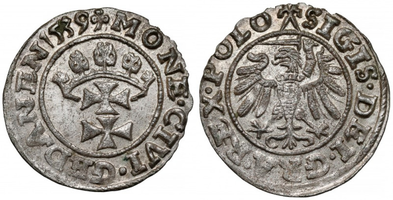 Zygmunt I Stary, Szeląg Gdańsk 1539 - ozdobna - rzadki Rzadka dla tego rocznika ...