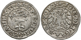 Zygmunt I Stary, Szeląg Gdańsk 1546