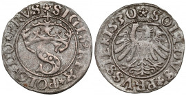 Zygmunt I Stary, Szeląg Toruń 1530 - miecz w prawo R6