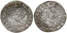 Zygmunt I Stary, Szeląg Toruń 1531