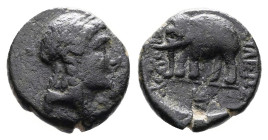 Seleucid Kingdom, Antiochos III 'the Great', 223-187 BC. Bronze ( 12 mm, 1.59 g.). Sardes Laureate head of Apollo right Rev. ΒΑΣΙΛΕΩΣ ΑΝΤΙΟΧΟΥ Elephan...