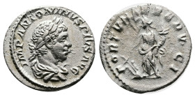 Elagabalus, 218–222 AD. Silver Denarius ( 19 mm, 2.59 g.). AD 220–221. IMP ANTONINVS PIVS AVG, laureate, draped bust of Elagabalus right. Rev. FORTVNA...