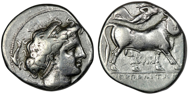 CAMPANIA. Neapolis. (Circa 300-275 BC)
AR Nomos (22mm, 7,27g)
Obv: Diademed head...