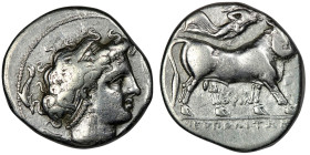 CAMPANIA. Neapolis. (Circa 300-275 BC)
AR Nomos (22mm, 7,27g)
Obv: Diademed head of female right; four dolphins around 
Rev: NEΟΠΟΛITΩN. Man-headed bu...