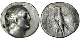 PTOLEMAIC KINGS of EGYPT. Ptolemy II Philadelphos (285-246 BC). Sidon mint. Dated RY 31 (255/4 BC)
AR Tetradrachm (28mm, 13,07g)
Obv: Diademed head of...