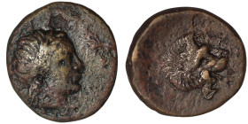 TROAS. Antandros. (4th-3rd centuries BC)
AE Bronze (20mm, 6,29g)
