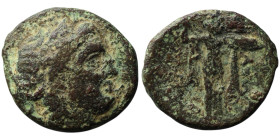 SELEUKID KINGS. Seleukos I Nikator (312-281 BC). Antioch on the Orontes
AE Bronze (21mm, 5,05g)