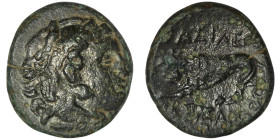 KINGS OF MACEDON. Kassander (317-305 BC). Uncertain mint.
AE Bronze (16mm, 2,54g)