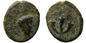 JUDAEA. Ascalon. Pseudo-autonomous issue. Time of Augustus (27 BC-AD 14)
AE Prutah (14mm, 1,59g)