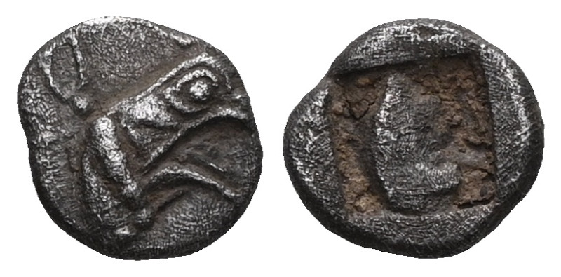 Ionia. Phokaia 530-500 BC. Obol AR Head of griffin right / Quadripartite incuse ...