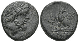 Greek Pontos. Amisos circa 85-65 BC. Bronze Æ . Laureate head of Zeus right / ΑΜΙΣΟΥ, eagle standing left on thunderbolt, head right, star above, in l...