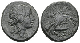 Greek Pontos. Amisos. Time of Mithradates VI Eupator circa 120-63 BC. Bronze Æ Head of Dionysos right, wearing ivy wreath / AMIΣOY, Thyrsos leaning ag...