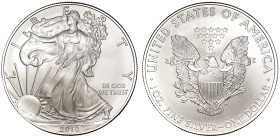USA, 2010 silver Dollars (20)