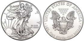 USA, 2012 silver Dollars (20)