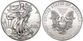 USA, 2013 silver Dollars (20)