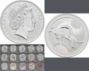 Australien: Lot 15 x 1 OZ Silber Känguru / Kangaroo der Jahrgänge 1993-2006. Dabei der Jahrgang 2001 zusätzlich in Farbe. Alle Münzen in Dosen.
 [tax...