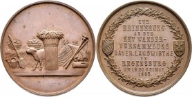 Medaillen Deutschland: Regensburg: Bronzemedaille 1883, auf die 25. Wanderversammlung bayrischer Landwirte., 34 mm, 18,8 g, leicht fleckige Patina, fa...