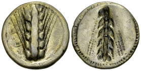 Metapontum AR Nomos, c. 470-430 BC