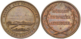 Bern/Freiburg/Neuenburg, AE Medaille o.J. (1881/1886), Pfahlbauten