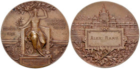 Genf, AE Medaille 1896, Exposition nationale