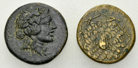 Amisos, Lot of 2 AE coins