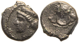 Cyprus, Paphos, Timocharis Æ10
