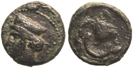 Cyprus, Paphos, Timocharis Æ13