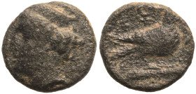 Cyprus, Paphos, Timarchos Æ16