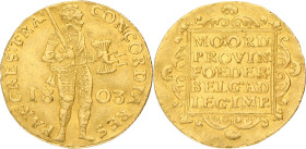 Gouden dukaat. Utrecht. 1803. VF

Sch. 39. AU. 3,4 g