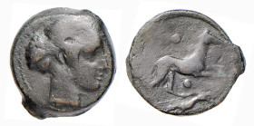 SICILIA - SEGESTA (circa 430-409 a.C.) BRONZO gr.5,7 - D/Testa di Ninfa a d. R/Segugio a d. con 2 globetti - Ae - Sng.Ans..664var BB