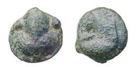SICILIA - SELINUS (435-415 a.C.) TETRAS gr.7,4 - D/Testa di ninfa a s. R/Foglia e 3 globetti - AE Fuso-T&V.315 BB