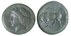 SICILIA - SIRACUSA - AGATOCLE (317-310 a.C.) AE 22 gr.12,1 - D/Testa di Kore a s. con davanti la scritta SYPAKOSION, intorno delfini R/Toro cozzante a...